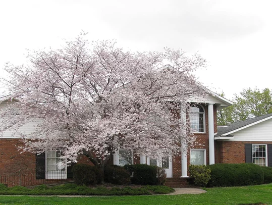 Barrett Klutts Property managment firm in Charlotte NC Barrett Klutts Property managment firm in Charlotte NC
